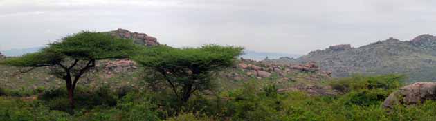 Balamathi Hills Panoramic View.